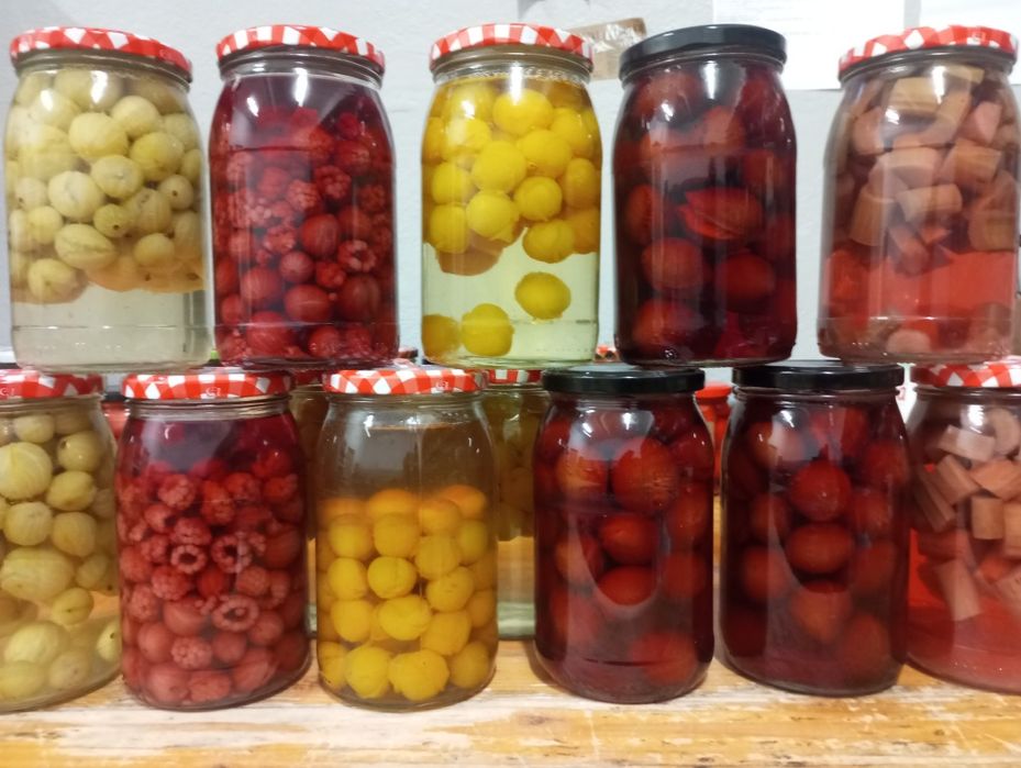 Kompot, kompoty owocowe,