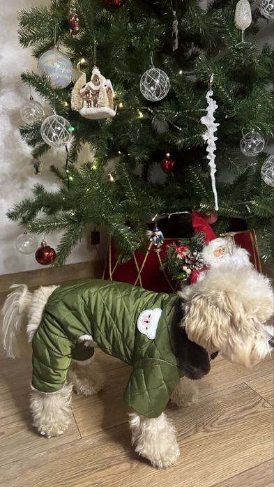 Зимовий костюм для собак