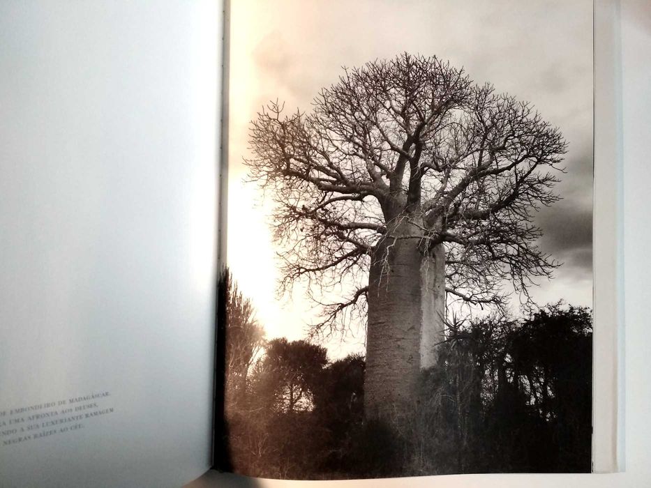 Madagáscar - Gian Barbieri (Taschen / formato grande / porte incluído)
