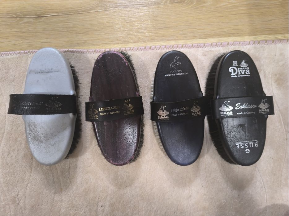 HAAS Eqclusive zestaw dla koni siwych i srokatych