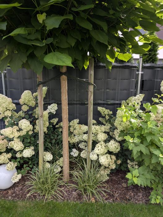 Paliki do drzewa 200cm