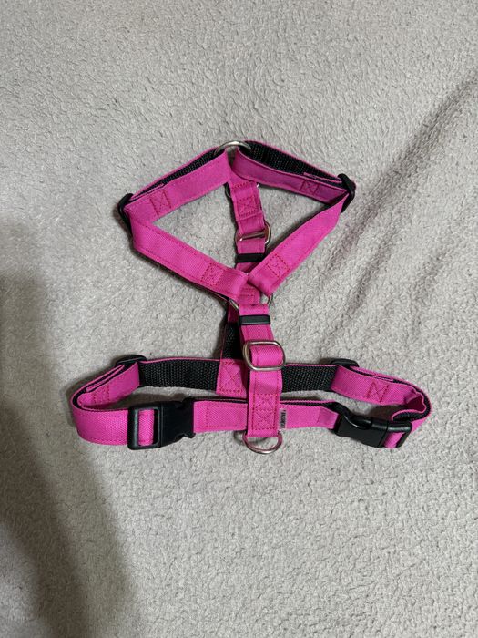 Анатомічна шлейка для собак