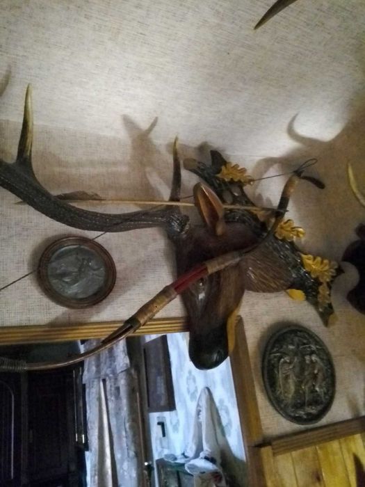 Рога,коллекция,5экз.