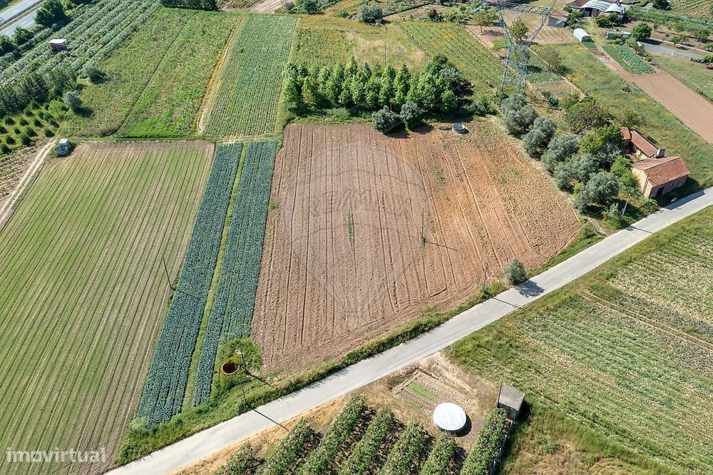 Terreno  para venda
