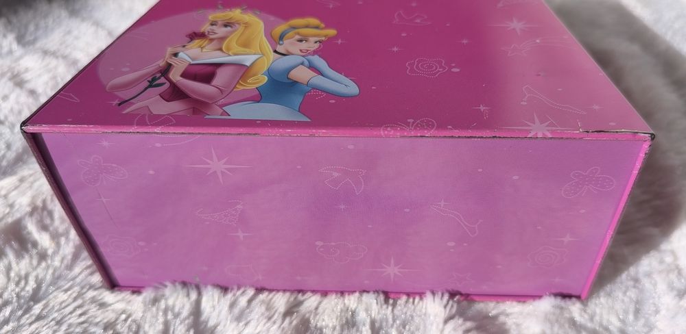 Алюмінієвий бокс Disney Princess