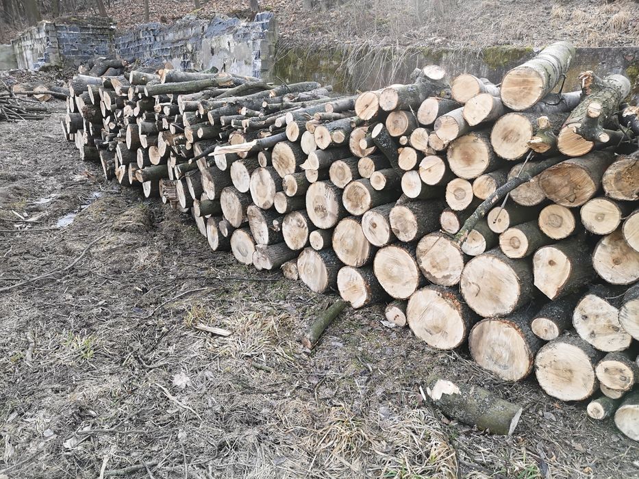 Sprzedam drzewo, drewno opałowe - jesion, klon