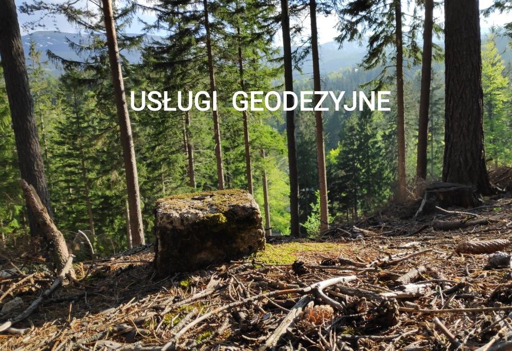 Geodeta - Usługi geodezyjne - Doradztwo w sprawach nieruchomości