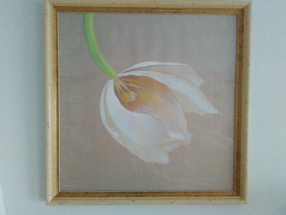 2 quadros grandes com flores, molduras em bege/dourado. Como novos