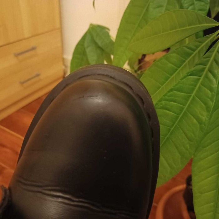 Jadon II Mono Dr Martens 100% Vegan
