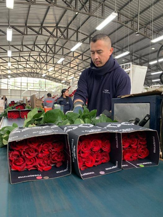 Квіти  опт до 8 березня