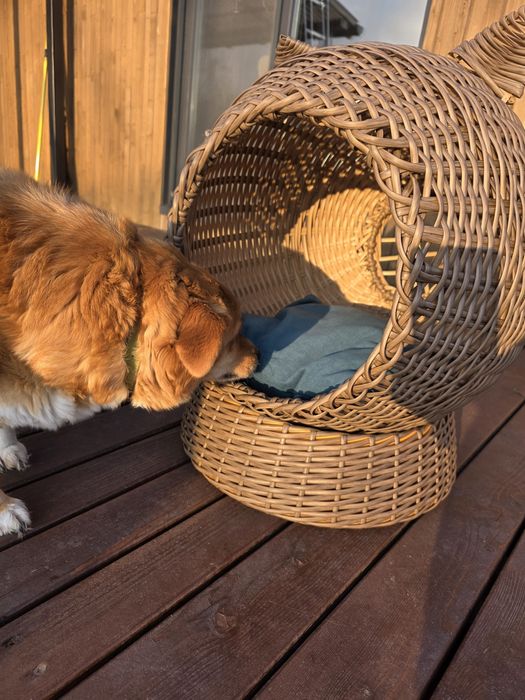 Котобудинок з ротангу