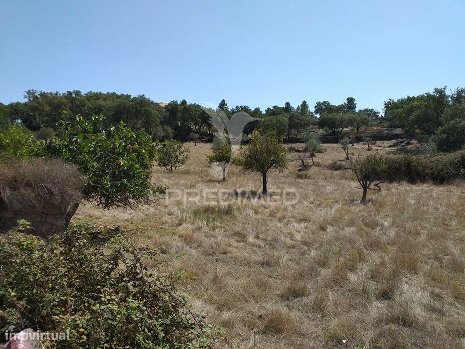 Saiba mais sobre este fantástico imóvel. — Alagoa, Portalegre