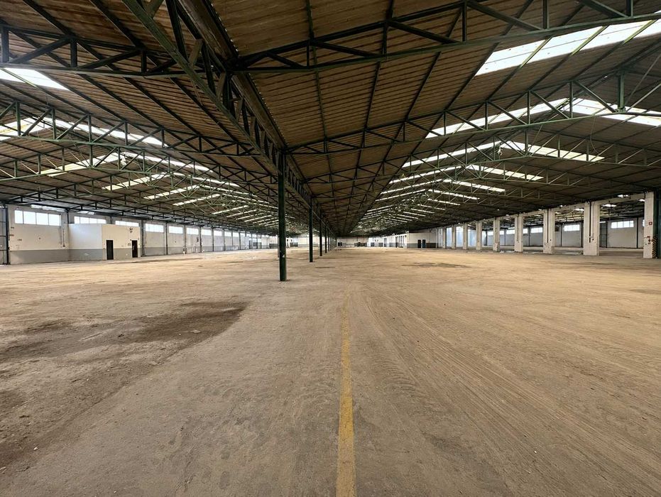 Pavilhão Industrial e Logístico em Torres Novas de 24.880 m² junto à A1, A23 e A13