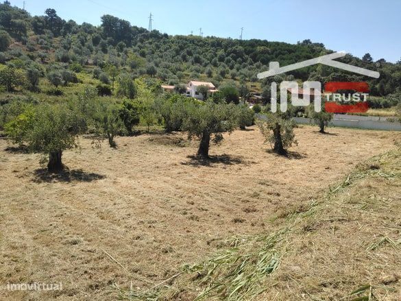 Terreno para construção — Nossa Senhora da Piedade, Santarém