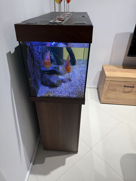 Аквариум Juwel Rio 180 литров