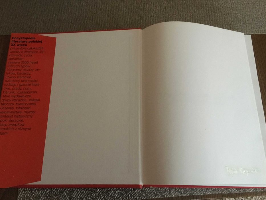 Literatura polska XX wieku. Przewodnik encyklopedyczny PWN