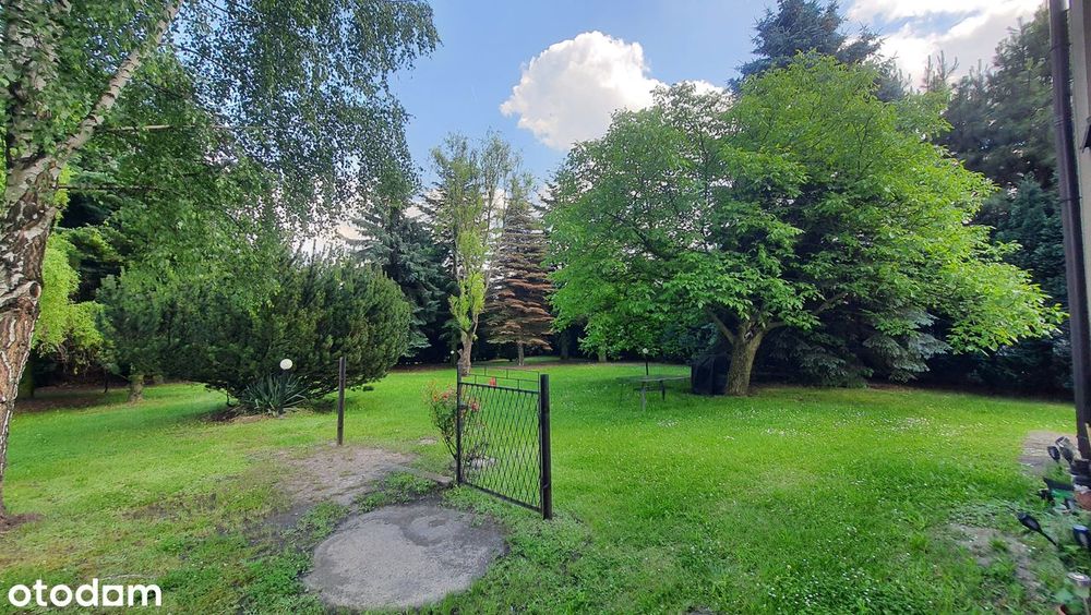Dom z piwnicą , garażem i dużym ogrodem