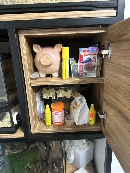 Regał Loft Katowice pod terraria