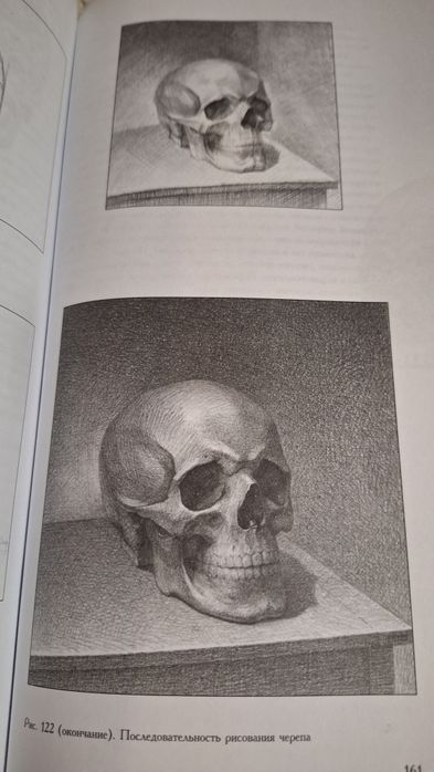 Основи академічного малюнку. Микола Лі