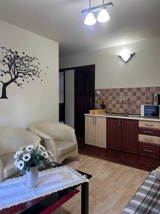 Apartament 4-7 osobowy z oddzielnym wejściem w Centrum