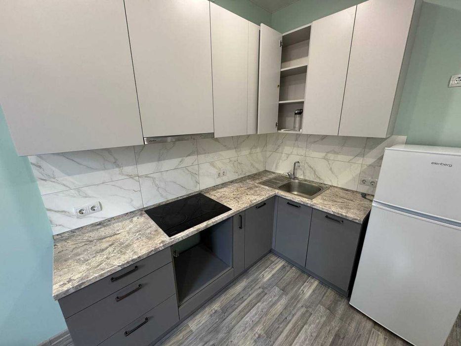 Apartment in Chabany - View 3