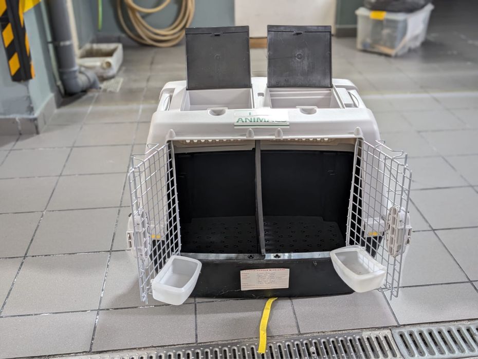 Caixa transportadora para  animais de grandes dimensoes