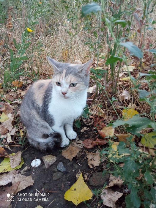 Трьохмасна красуня в любов та турботу