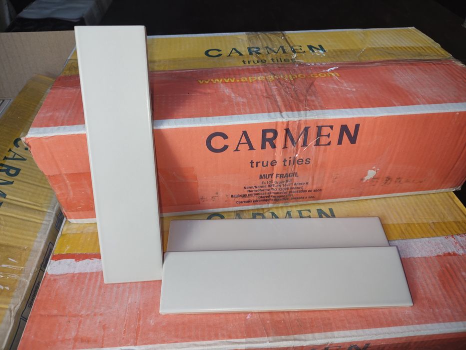 Плитка керамічна настінна  Carmen true tiles