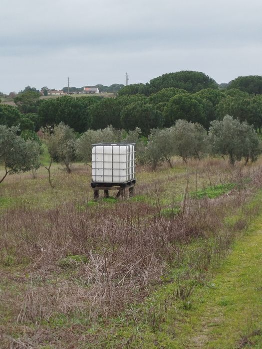 Vendo terreno rústico