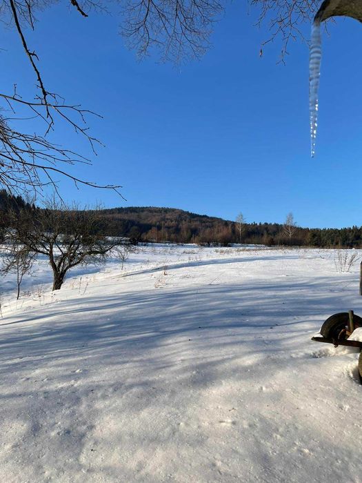 Продаж земельної ділянки в селі Рибник