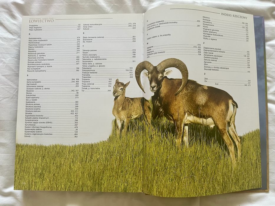 Łowiectwo Henryk Okarma, Andrzej Tomek