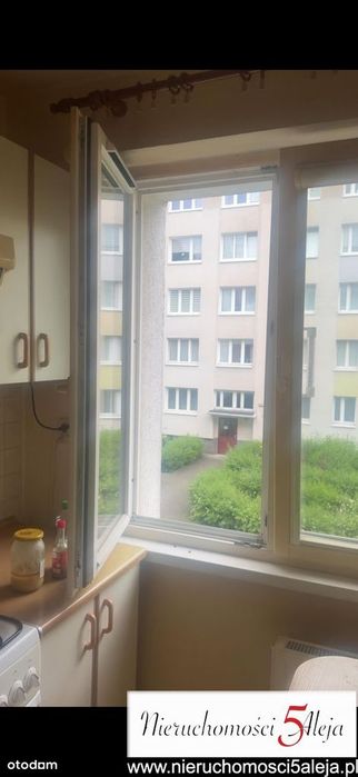2 pokoje os Jagiellońskie 1 ptr. niski blok - Widok 4