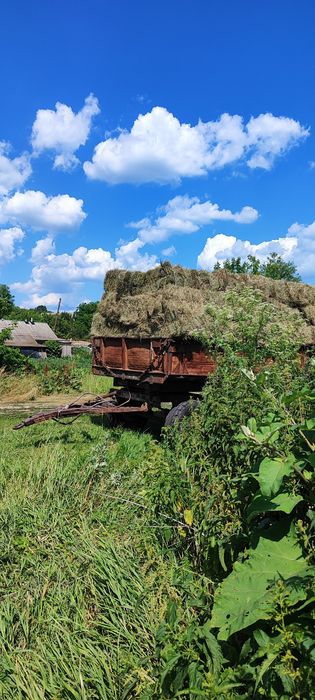 Сіно! Тюки! Продаж !