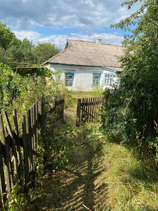 Продам будинок в с.Білоконі