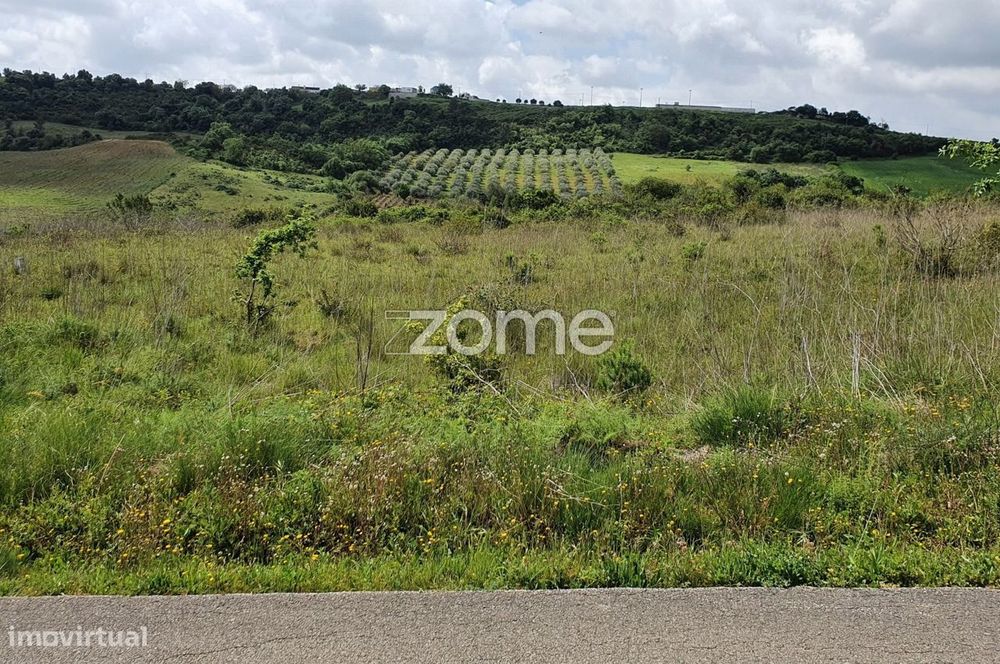 Terreno Rústico 6.840m2 Azambujeira Rio Maior Santarém
