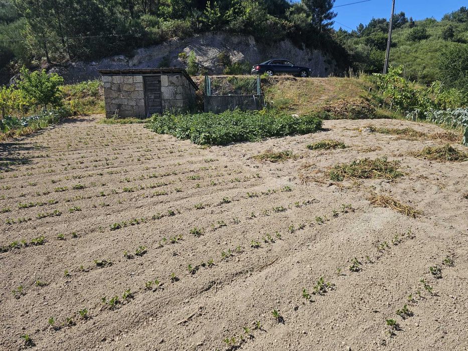 Terreno urbano para venda - Tapada - Alvite Cabeceiras de Basto