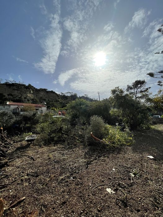 Limpieza de Terrenos