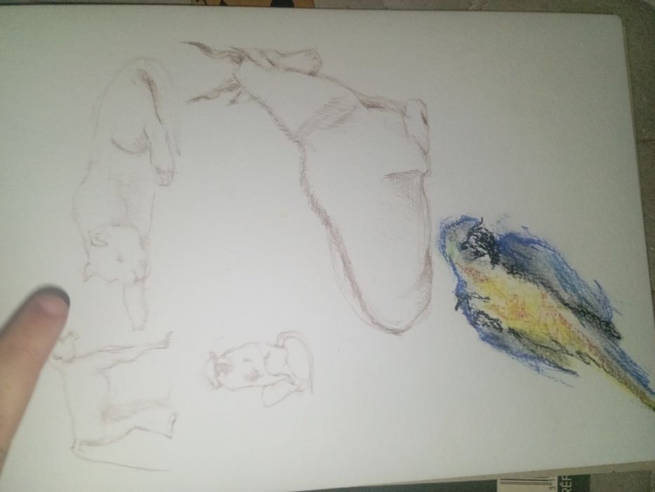 Álbum de desenhos da Manuela