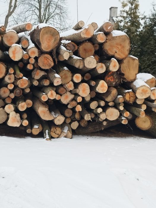 Sprzedam drzewo twarde grab