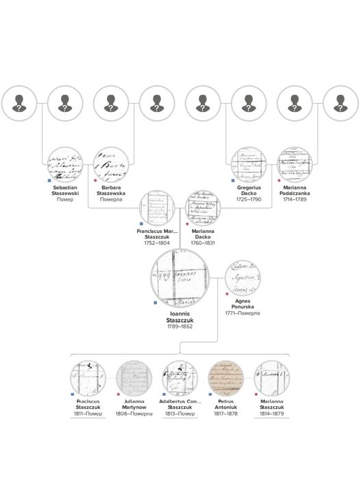 Хто ваші прадіди? Дослідження родоводу. Послуги генеалога