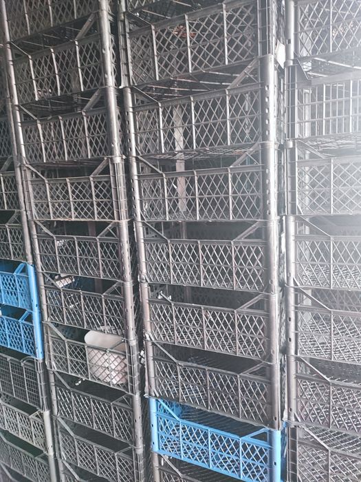 Ящик продам  мандарінка,