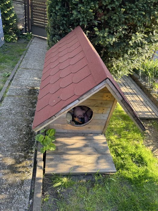 Buda dla psa ocieplana