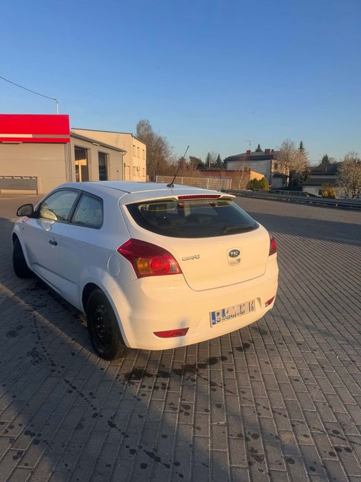 Ceed proceed 1.6 cvvt ex