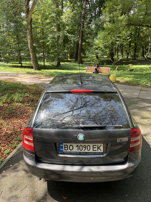 Skoda Octavia A5 2007 2.0 дизель