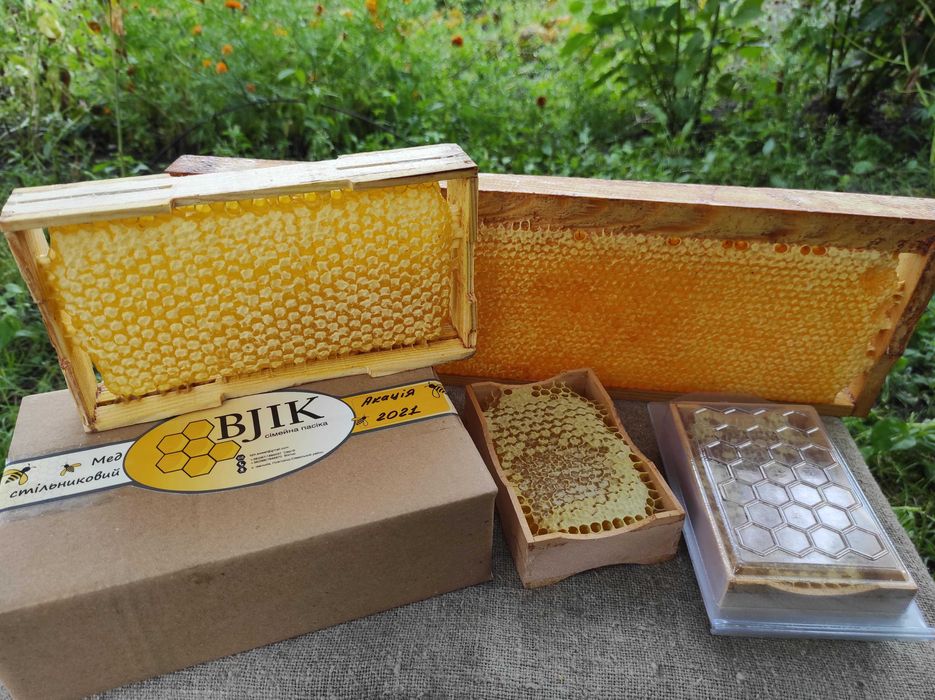 Мед в сотах / Сотовый мед / Стільниковий мед 2025