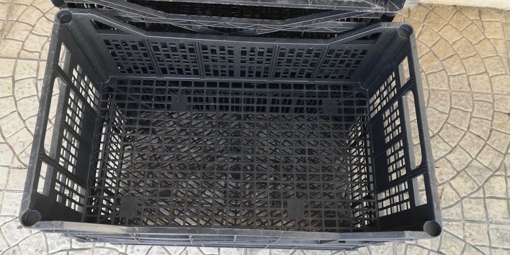 10 caixotes 50 cm X 30 cm X 19 cm