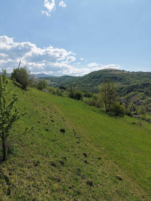 ДІЛЯНКА З ПАНОРАМОЮ НА КАРПАТИ