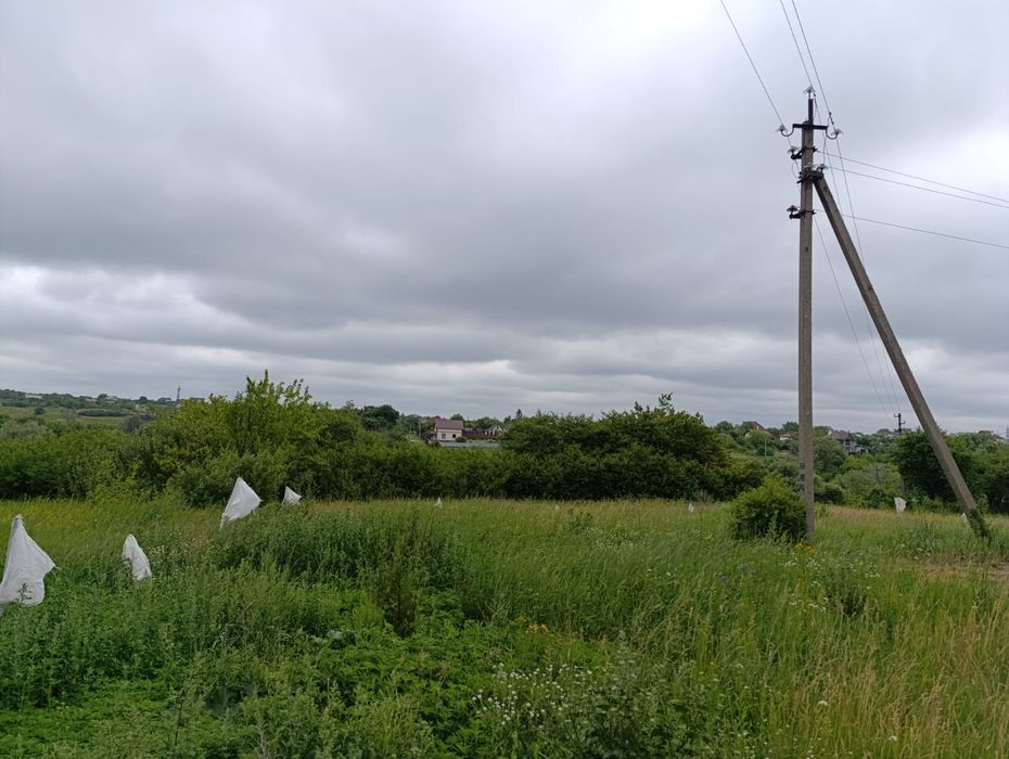 Земельна ділянка