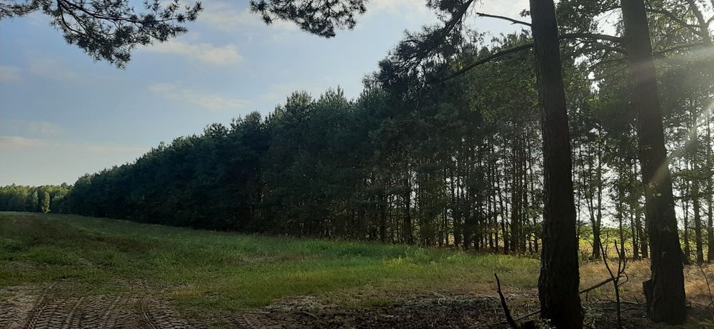 Dzialka rolna 5537 m2