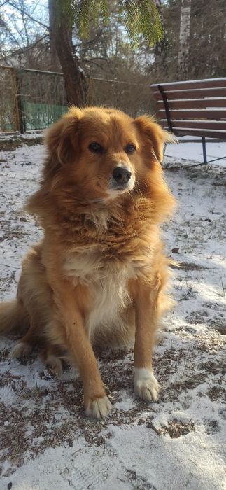 Zaginął czarna sędziszowska, nagroda pieniężna